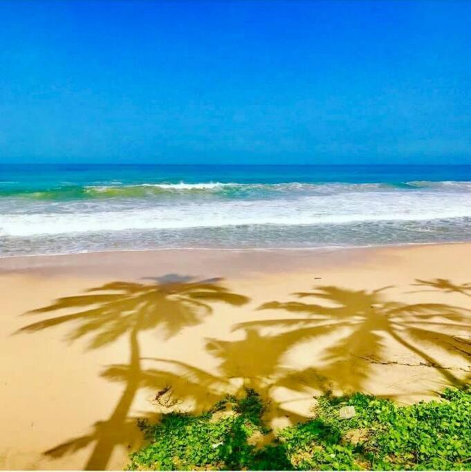 The Beach House Амбаланґода Екстер'єр фото